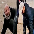Shocking images: Ajax fan seriously assaulted over scarf | Goal.com